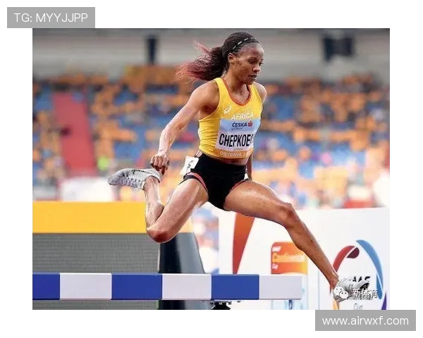 北京排球队在欧锦赛中的耐力表现分析与未来展望