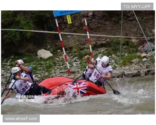 南京极限运动队在世界杯中的团队协作表现精彩点评与分析