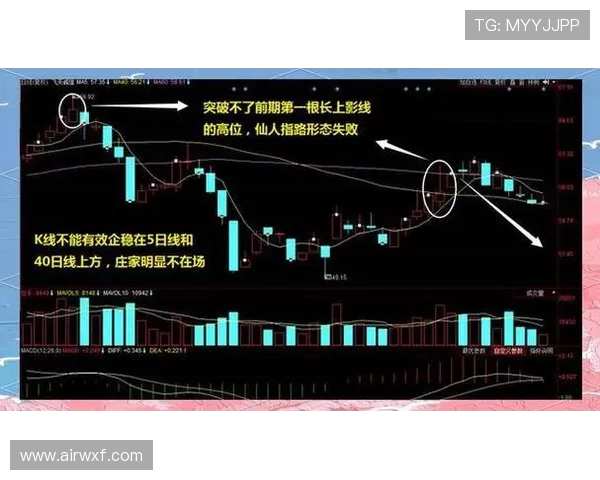 深入分析北京网球队中路突破战术的独特魅力与实战应用